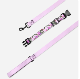 Pet collar & leash