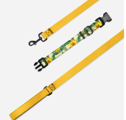Pet collar & leash