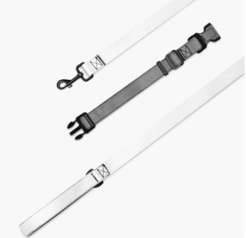 Pet collar & leash